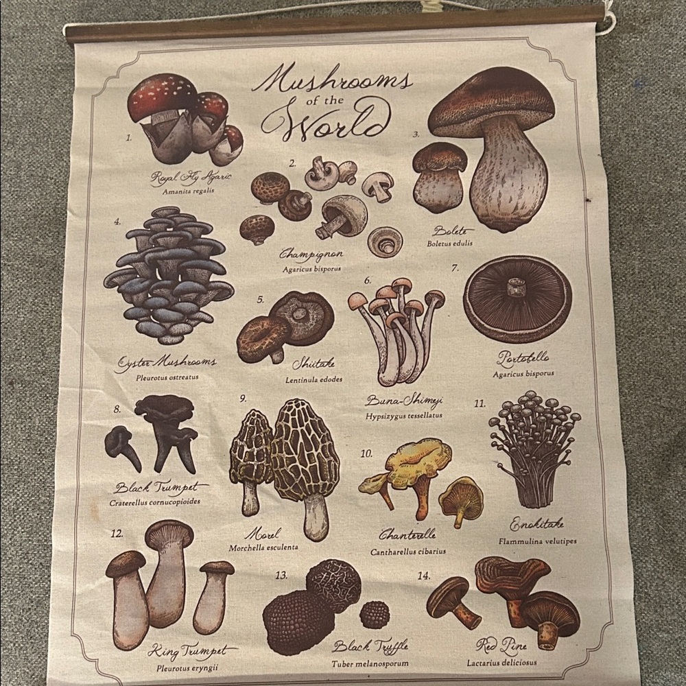 EARTHBOUND Mushroom Illustration Tapestry in Cream and Brown